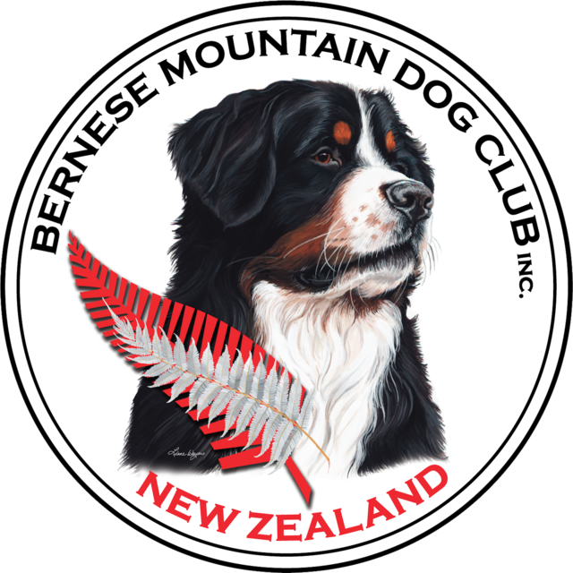 Bernese Mountain Dog Club 