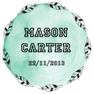 Feathers Birth Print - Cushion cover Design