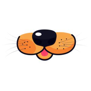 Cat Face - Face Mask Design