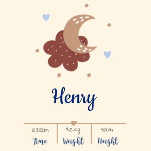 Baby Announcement - Moon - Canvas Flag Design