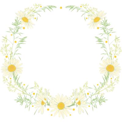 Daisy wreath Thumbnail
